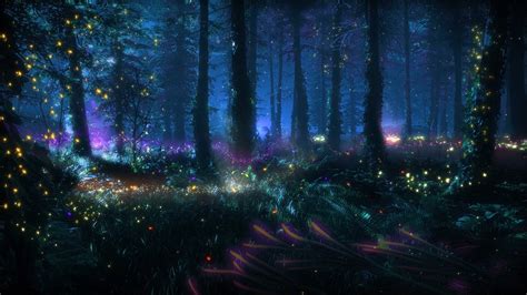 Immersing in the Magic of the Enchanted Forest